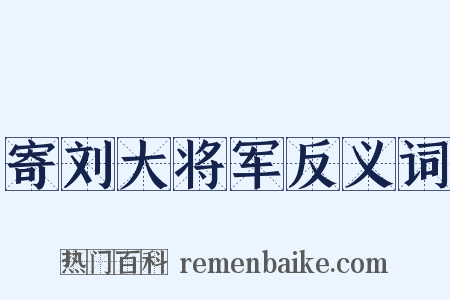 寄刘大将军反义词是什么意思的图片